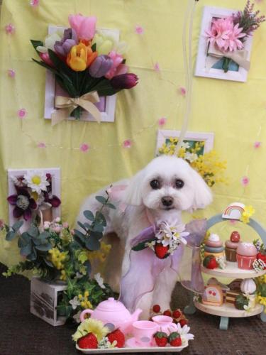 20230314マミちゃん